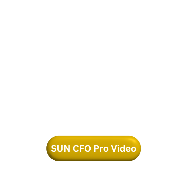 SUN CFO Pro Video Label